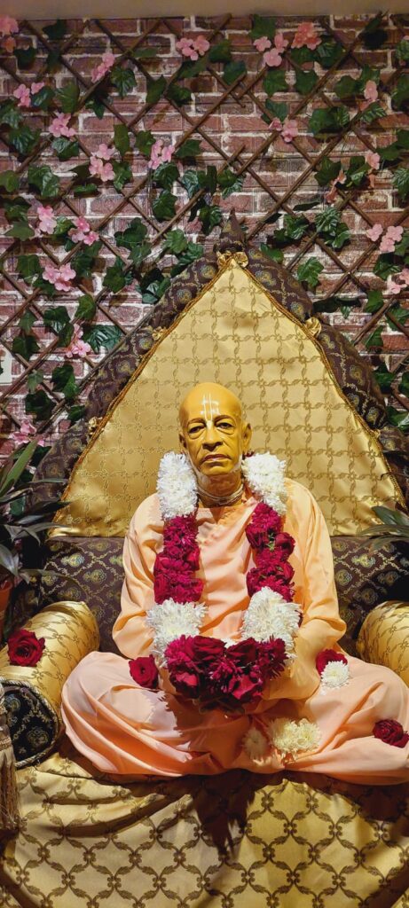 Hermosa girnalda de rosas rojas y crisantemos blancos hecha por bhaktina Ross para Srila Prabhupada.